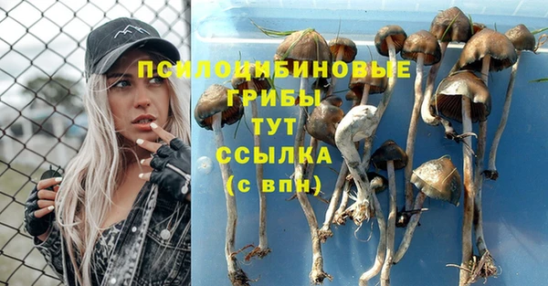 винт Бронницы