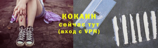 винт Бронницы