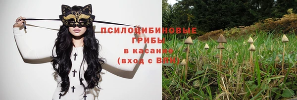 винт Бронницы